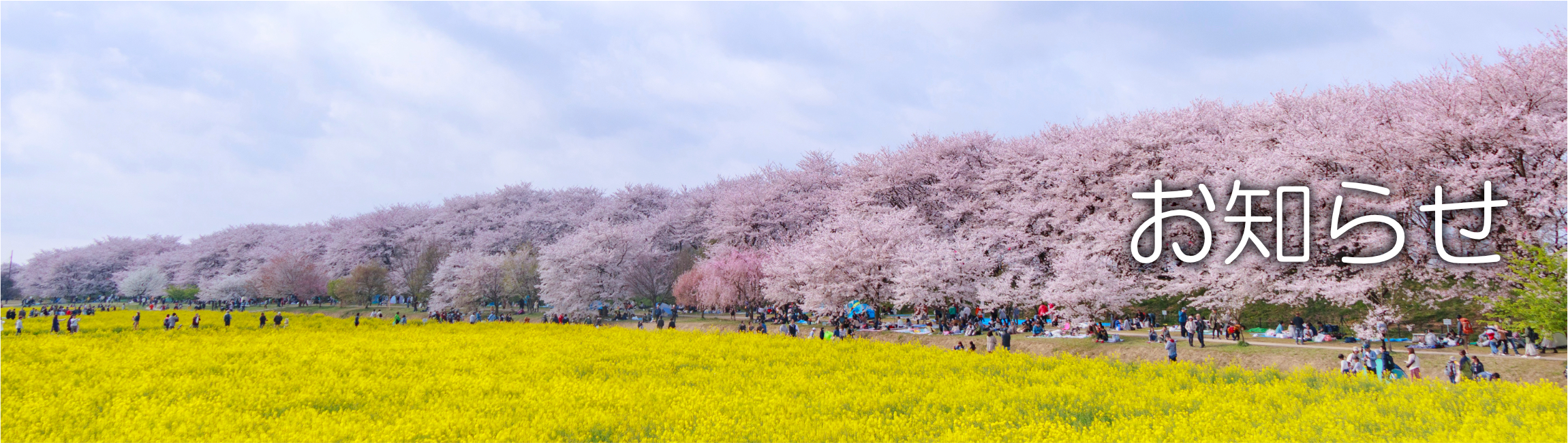 お知らせ