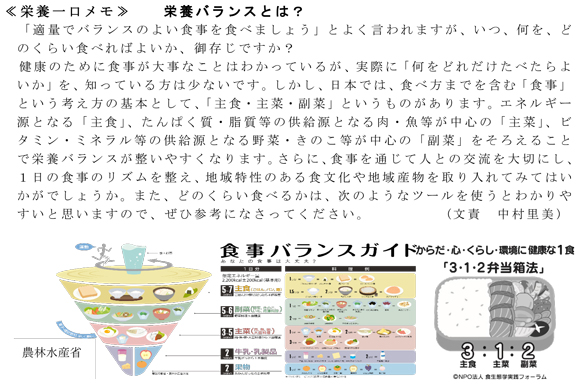 栄養バランスとは？